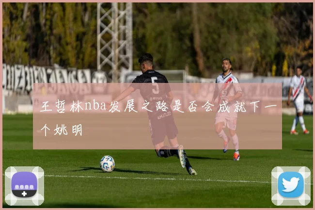 王哲林nba发展之路是否会成就下一个姚明